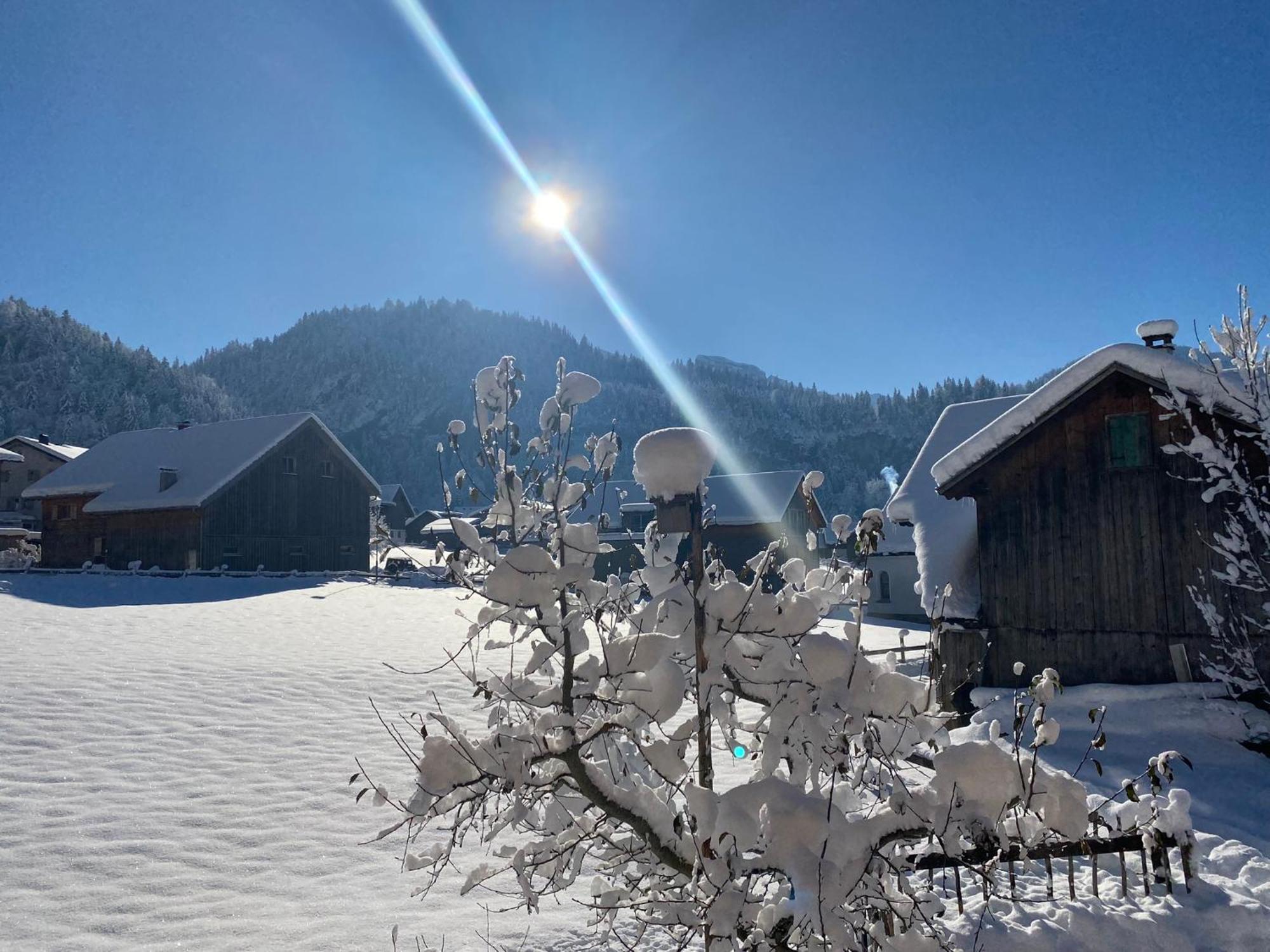 Bregenzerwaelderhaus Ambros Villa Bezau Bagian luar foto