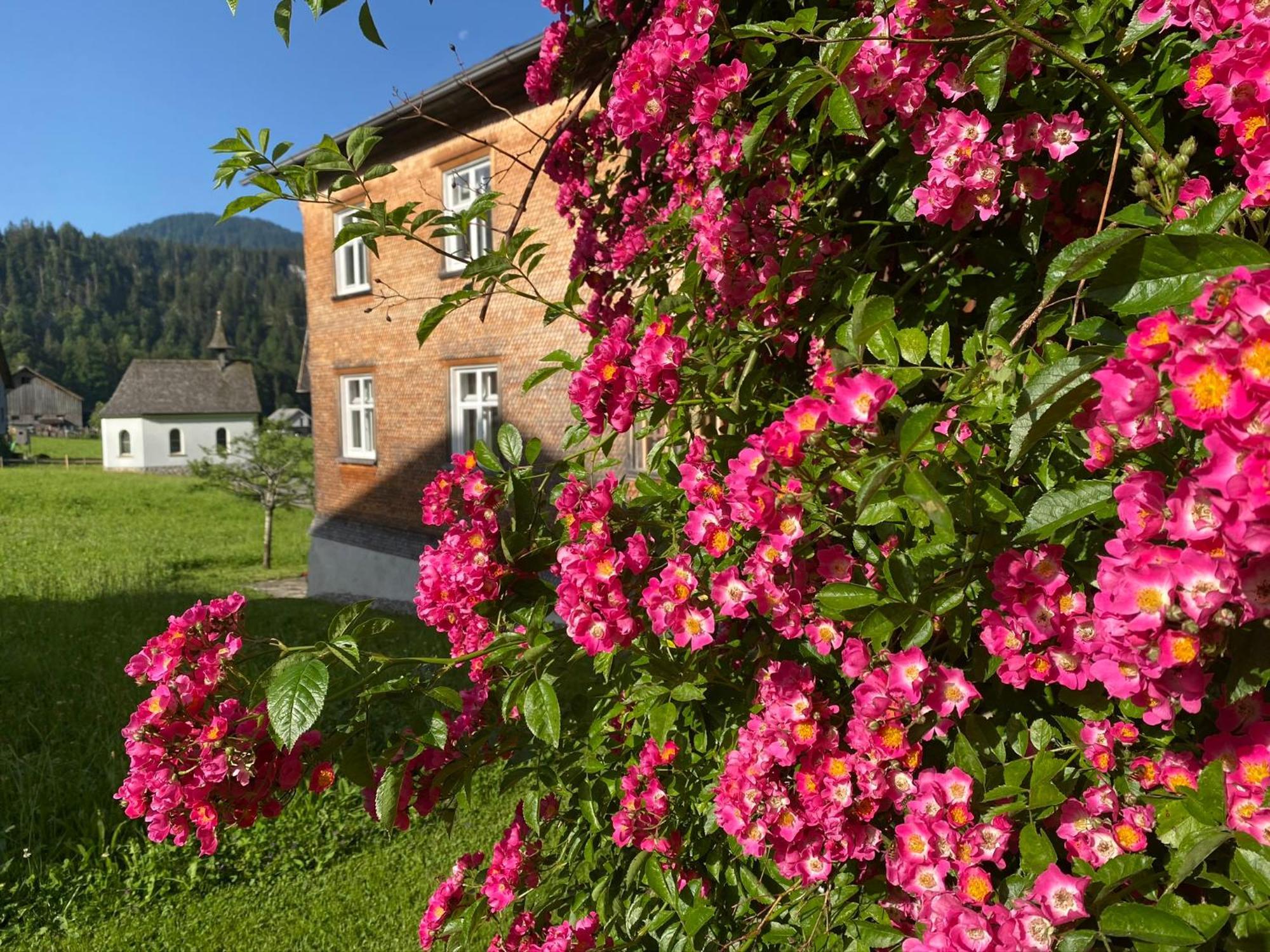 Bregenzerwaelderhaus Ambros Villa Bezau Bagian luar foto