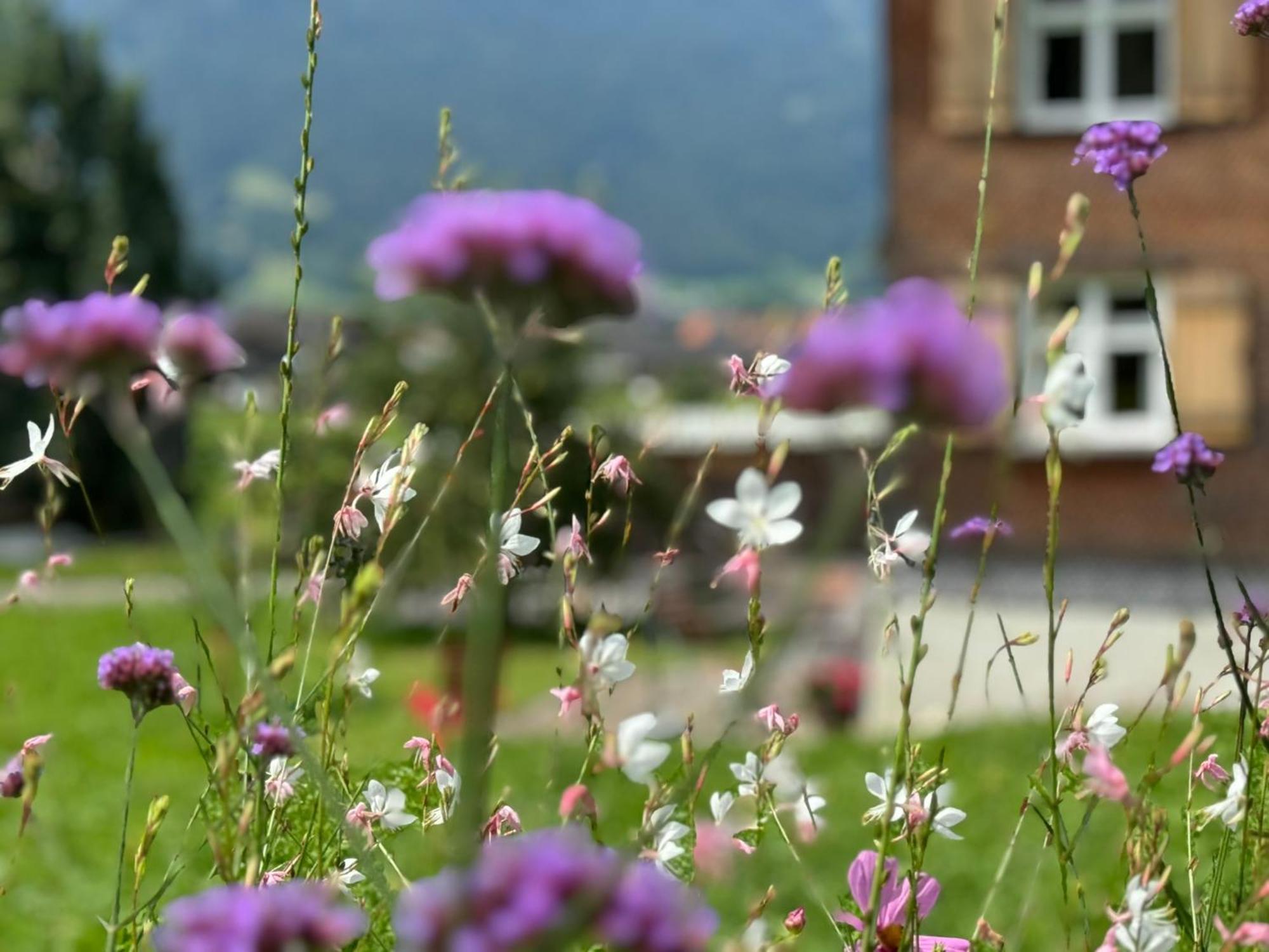 Bregenzerwaelderhaus Ambros Villa Bezau Bagian luar foto